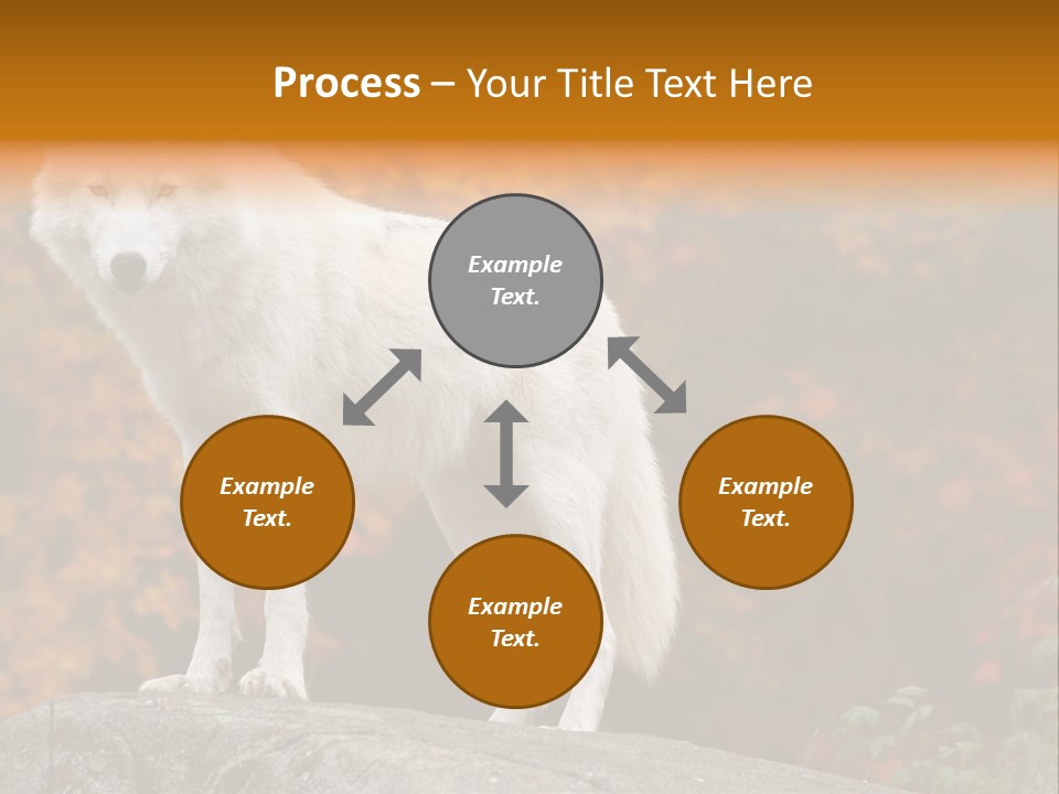 Predator Watchful Eyes PowerPoint Template