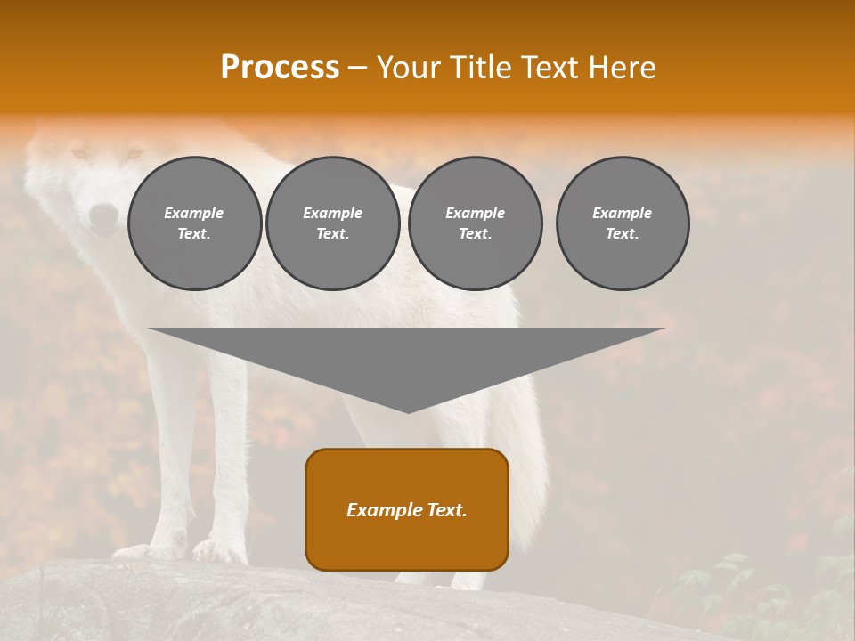 Predator Watchful Eyes PowerPoint Template