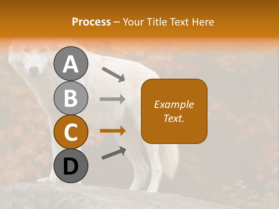 Predator Watchful Eyes PowerPoint Template