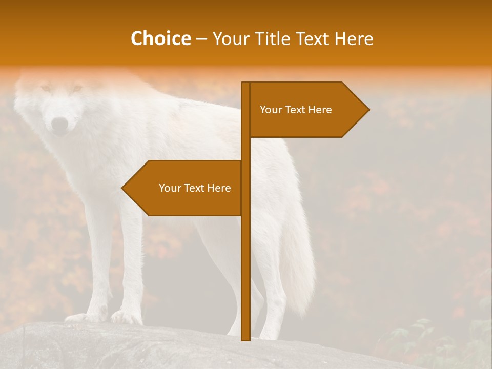 Predator Watchful Eyes PowerPoint Template