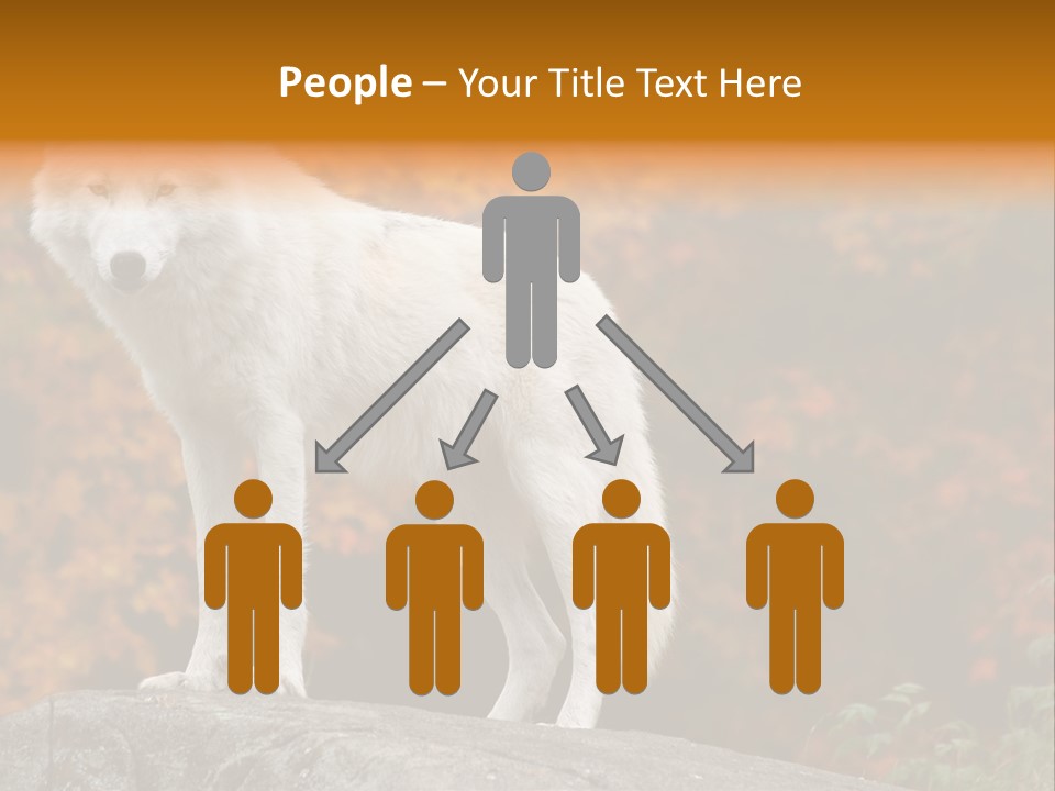 Predator Watchful Eyes PowerPoint Template