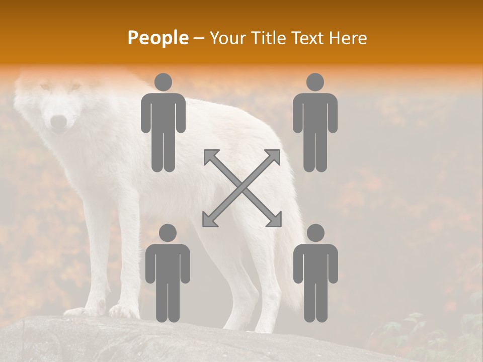 Predator Watchful Eyes PowerPoint Template