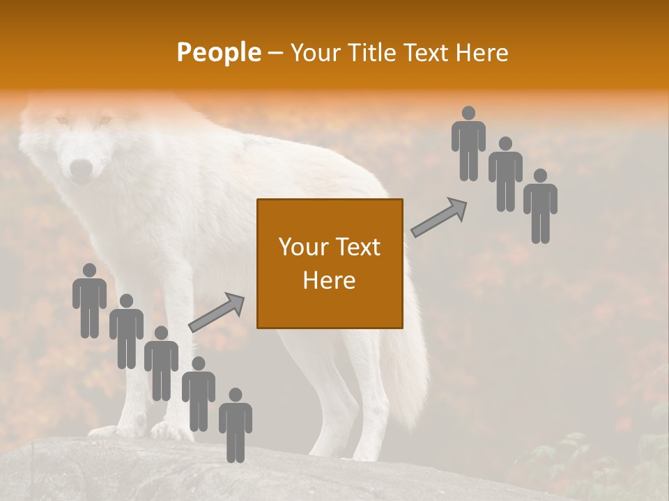 Predator Watchful Eyes PowerPoint Template