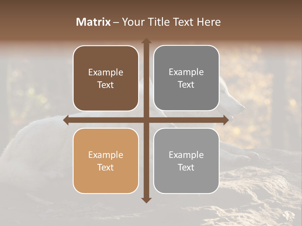 Animal Wild Wolves PowerPoint Template