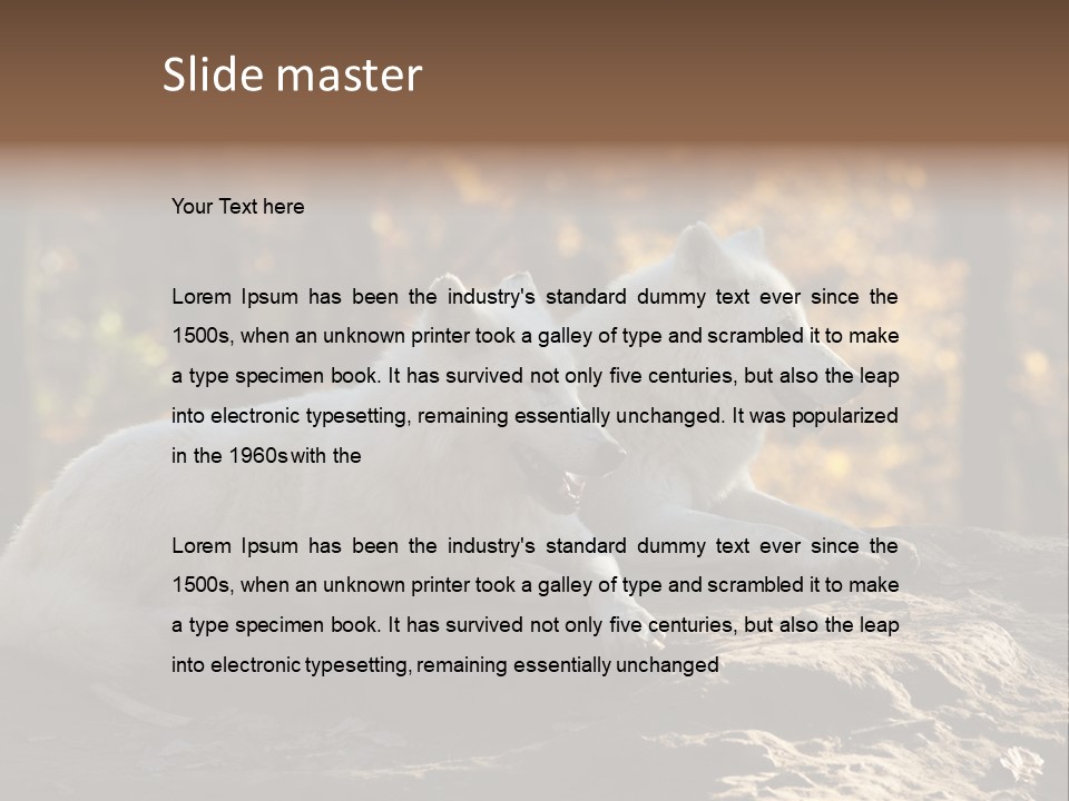 Animal Wild Wolves PowerPoint Template