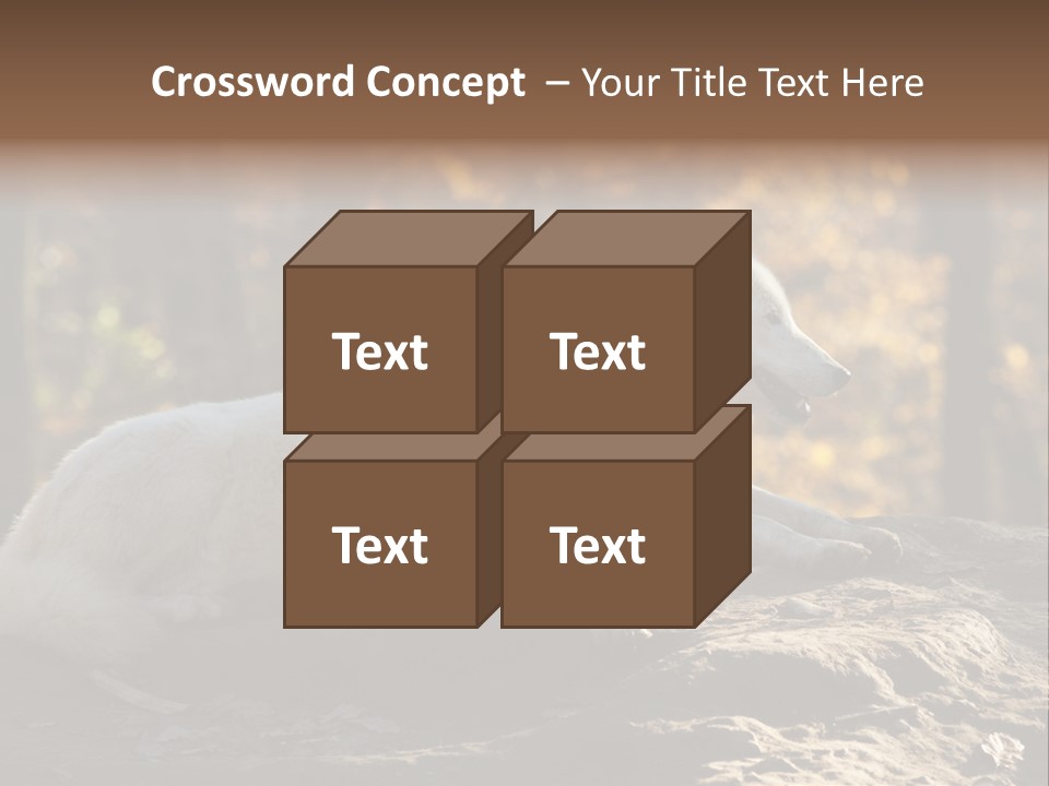 Animal Wild Wolves PowerPoint Template