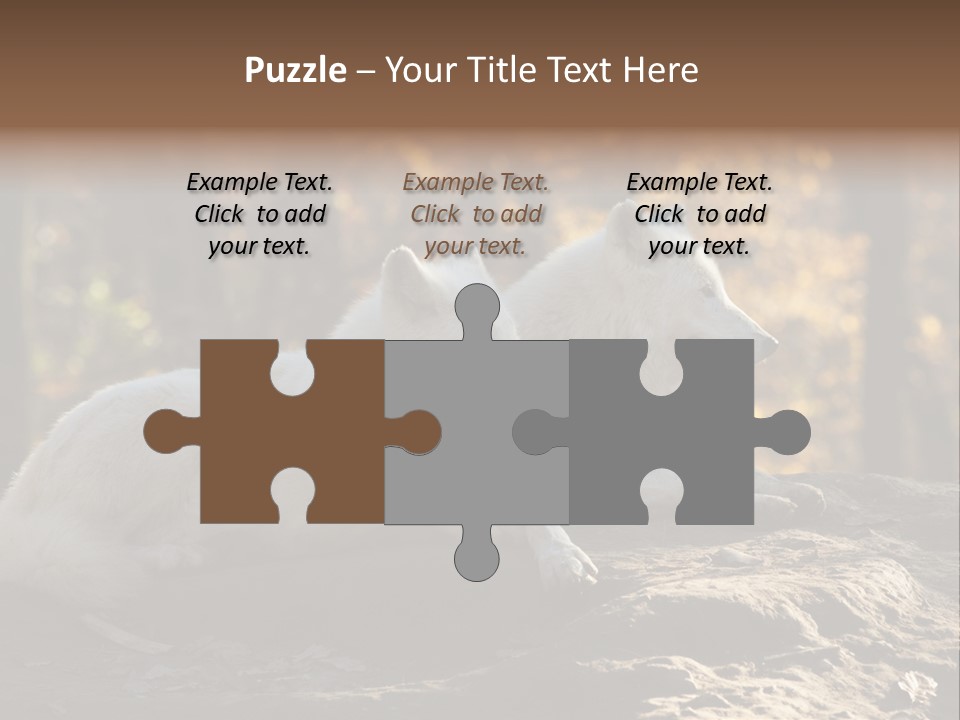 Animal Wild Wolves PowerPoint Template