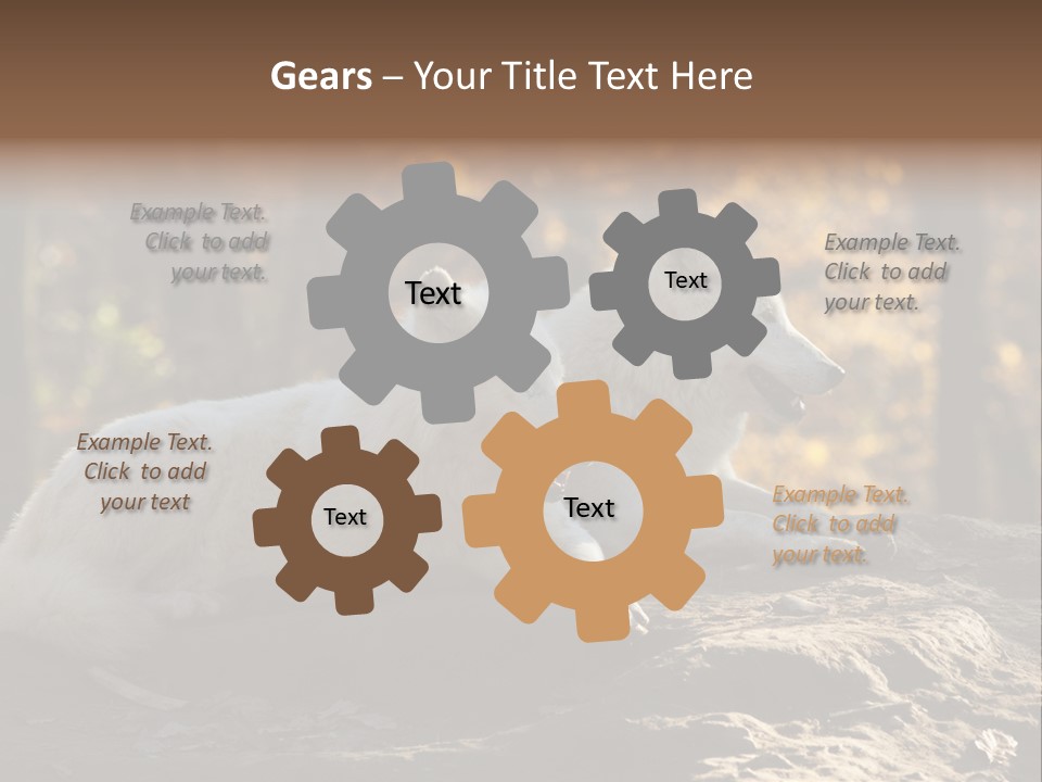 Animal Wild Wolves PowerPoint Template