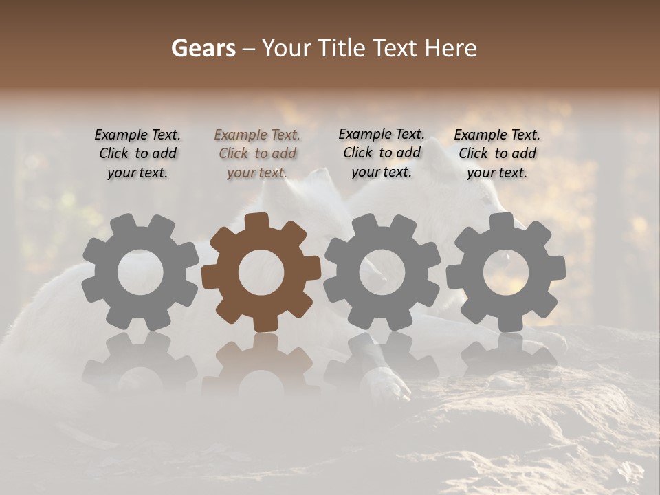 Animal Wild Wolves PowerPoint Template