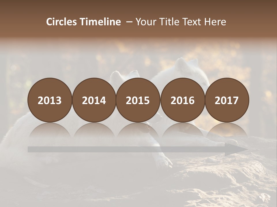 Animal Wild Wolves PowerPoint Template