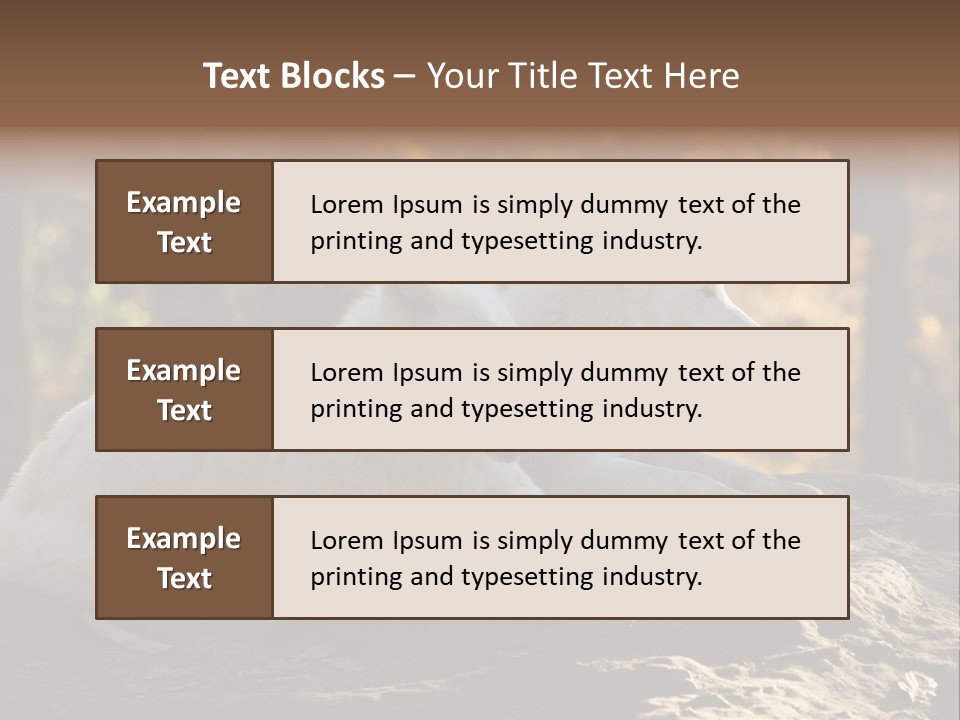 Animal Wild Wolves PowerPoint Template