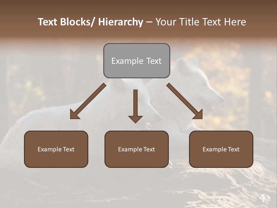 Animal Wild Wolves PowerPoint Template