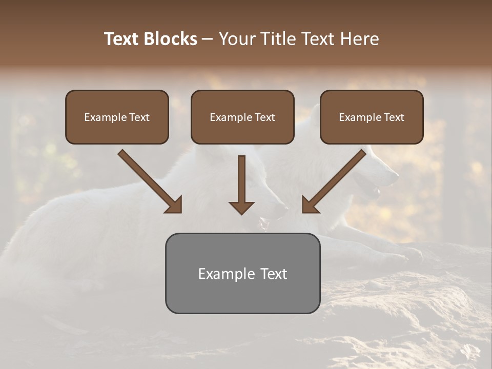 Animal Wild Wolves PowerPoint Template