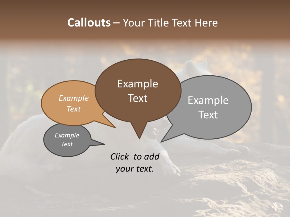 Animal Wild Wolves PowerPoint Template