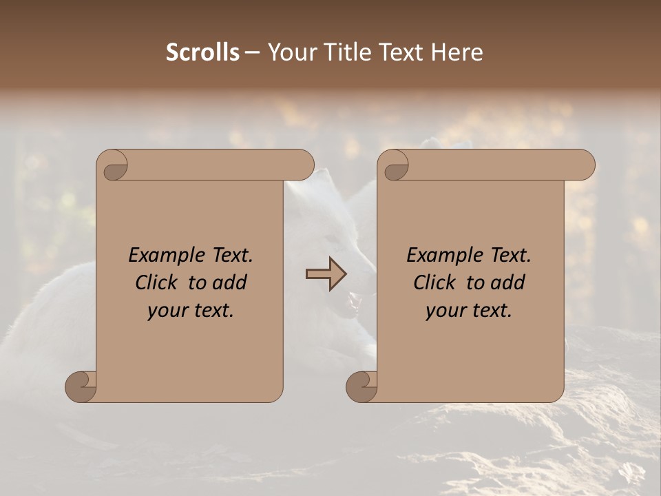 Animal Wild Wolves PowerPoint Template