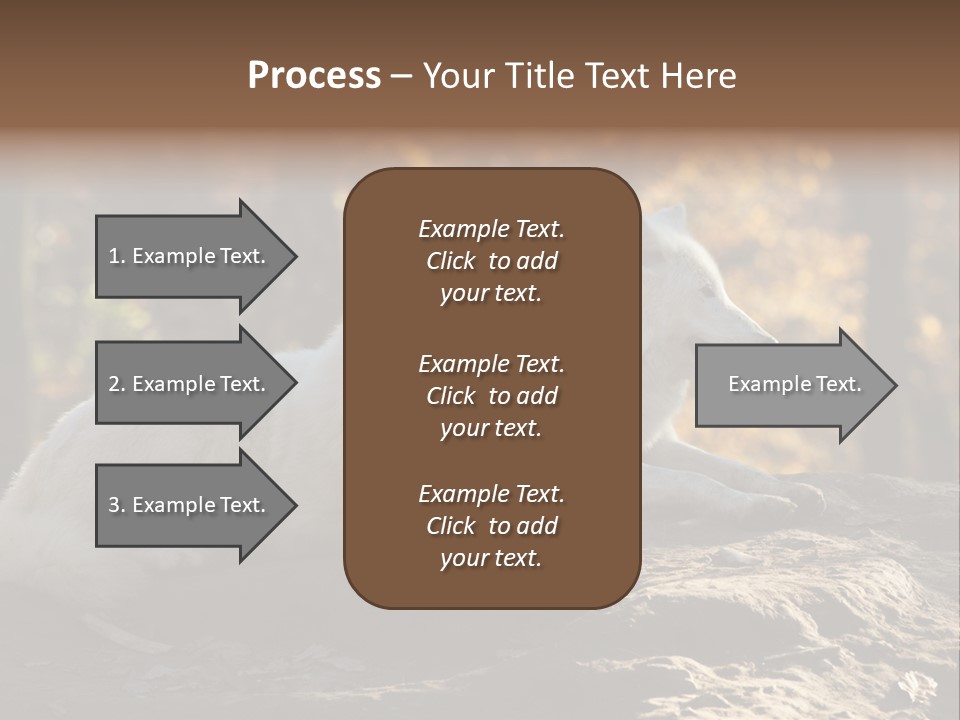 Animal Wild Wolves PowerPoint Template