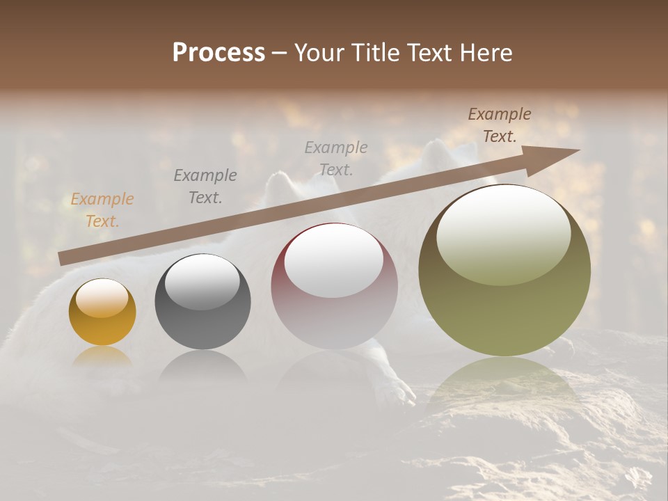 Animal Wild Wolves PowerPoint Template