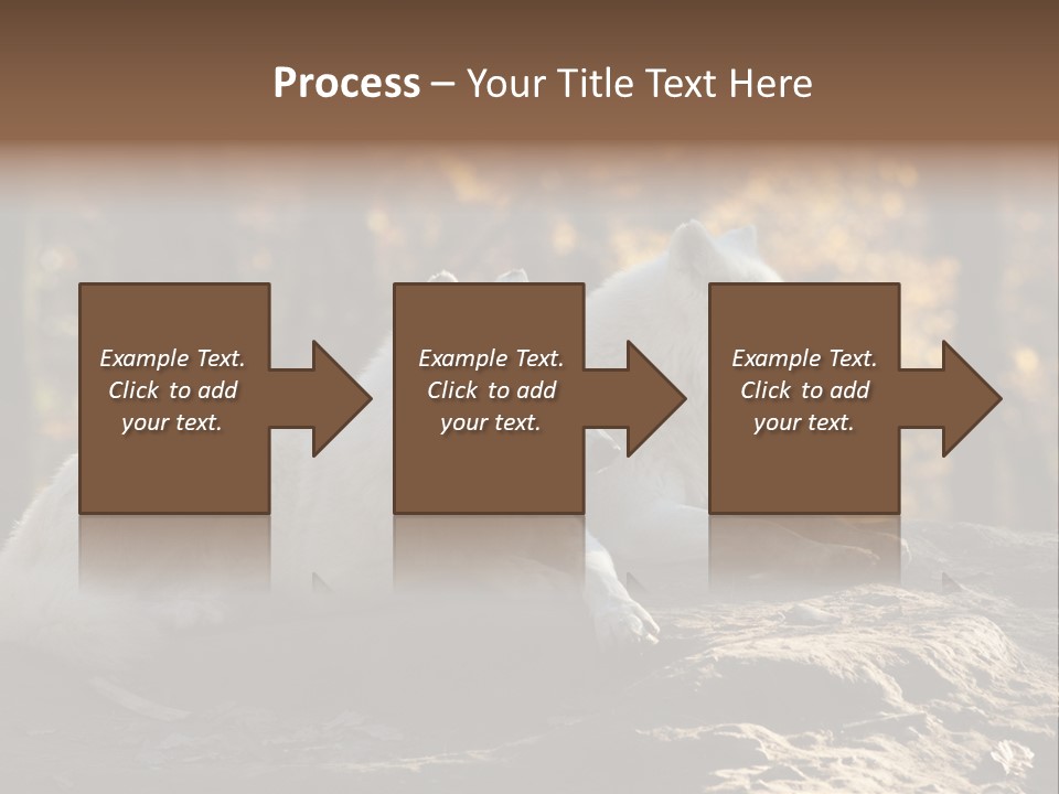 Animal Wild Wolves PowerPoint Template