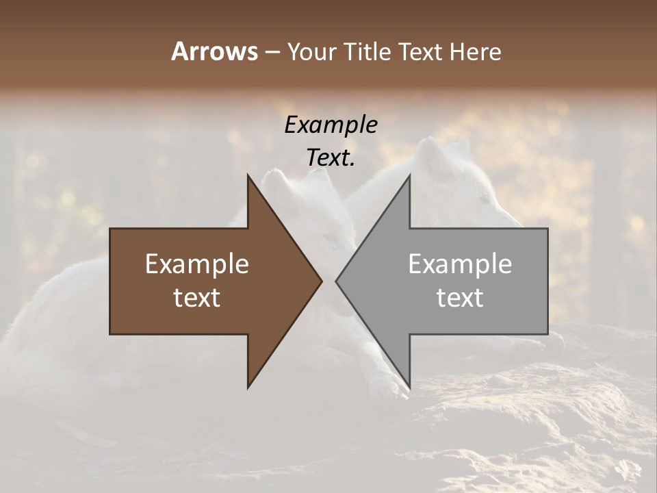 Animal Wild Wolves PowerPoint Template