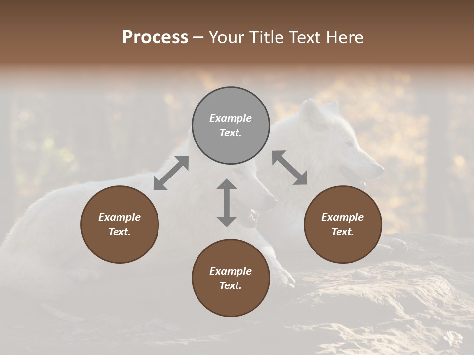 Animal Wild Wolves PowerPoint Template