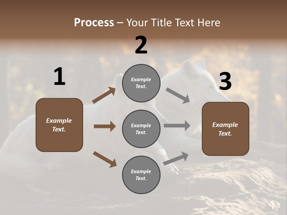 Animal Wild Wolves PowerPoint Template