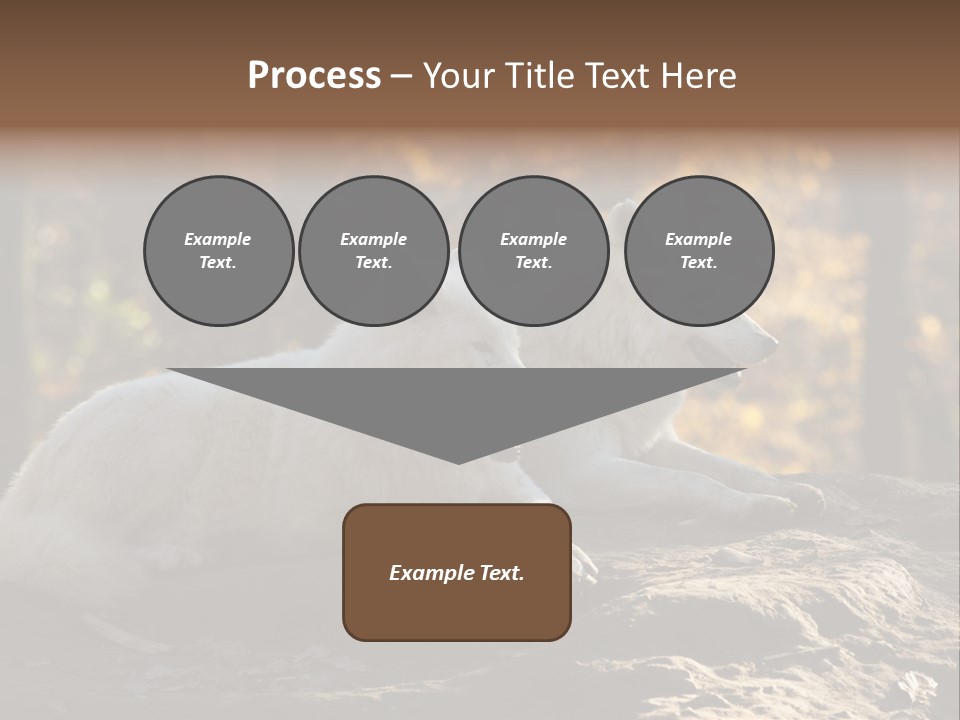 Animal Wild Wolves PowerPoint Template