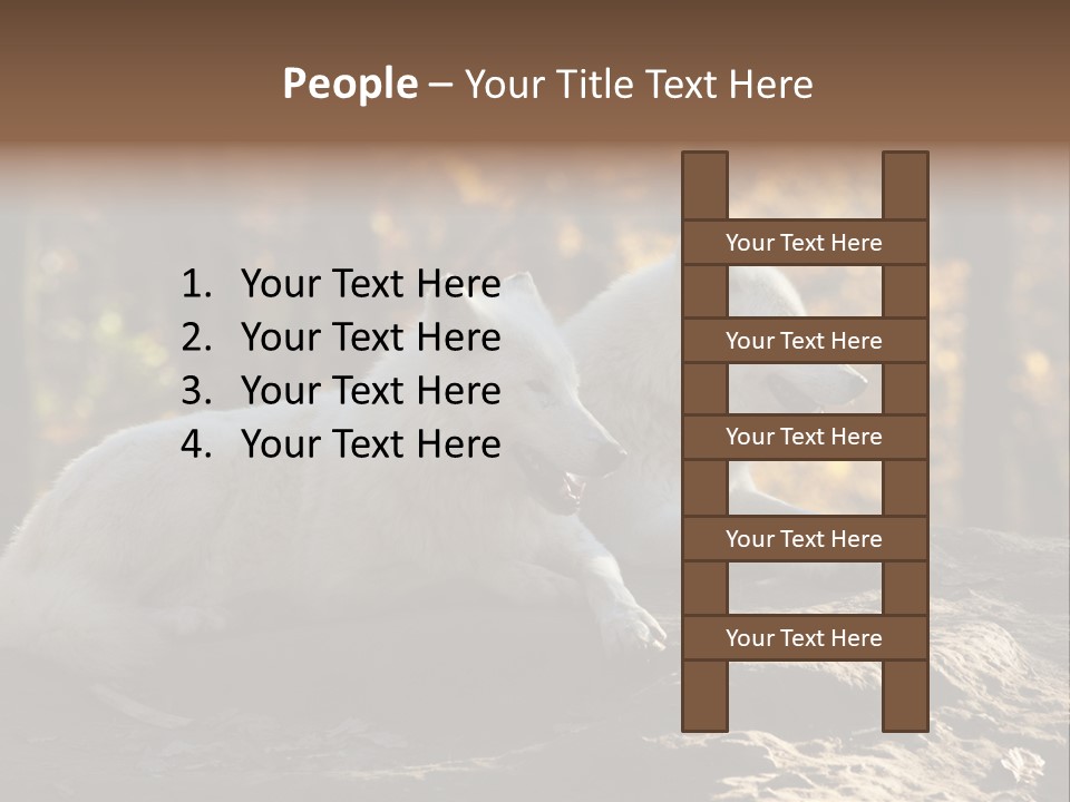 Animal Wild Wolves PowerPoint Template