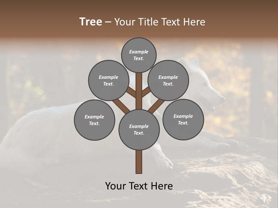 Animal Wild Wolves PowerPoint Template