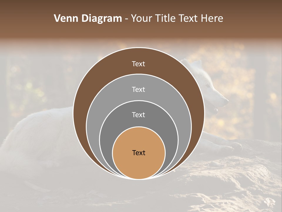 Animal Wild Wolves PowerPoint Template