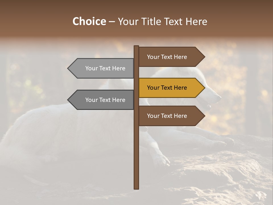 Animal Wild Wolves PowerPoint Template