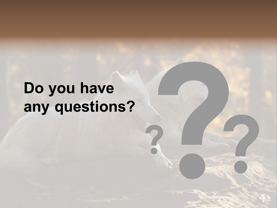 Animal Wild Wolves PowerPoint Template