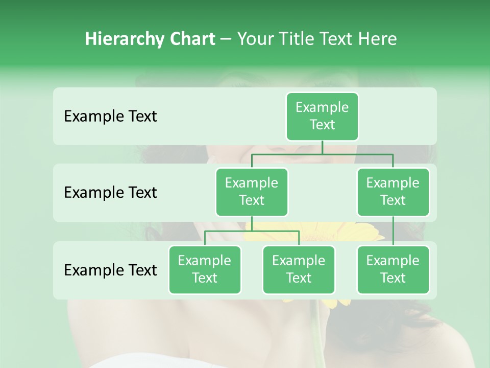 Spring  Beauty PowerPoint Template