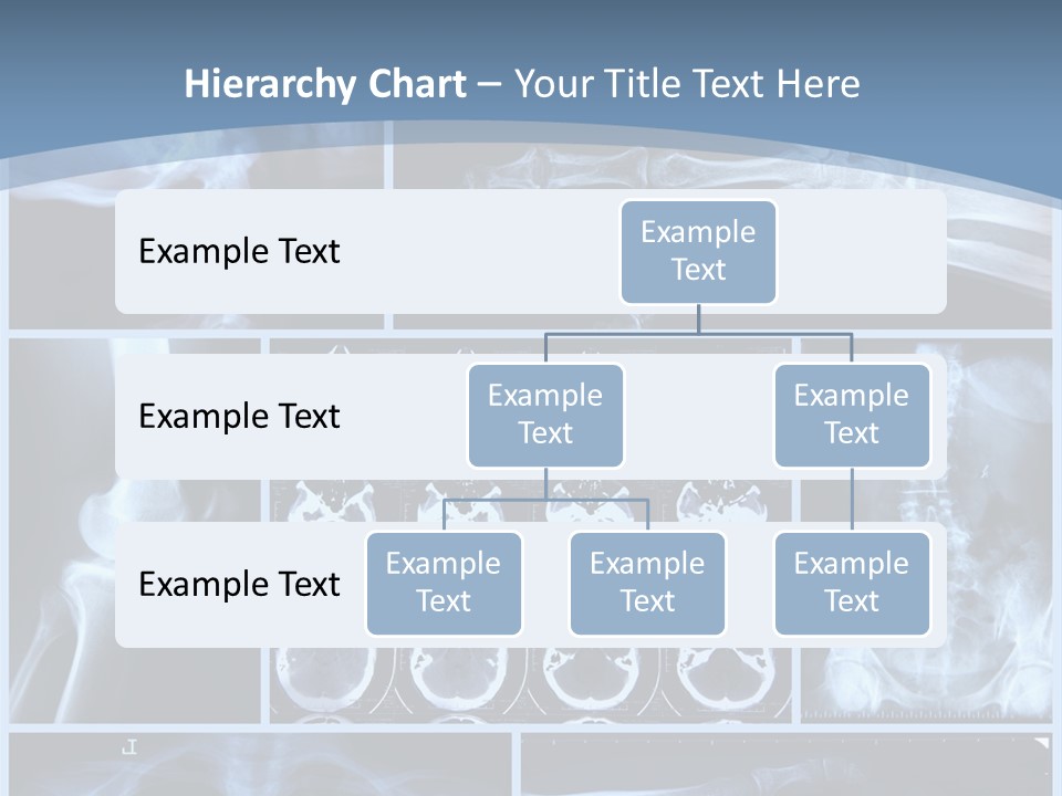Medicin Radiology Radiation PowerPoint Template