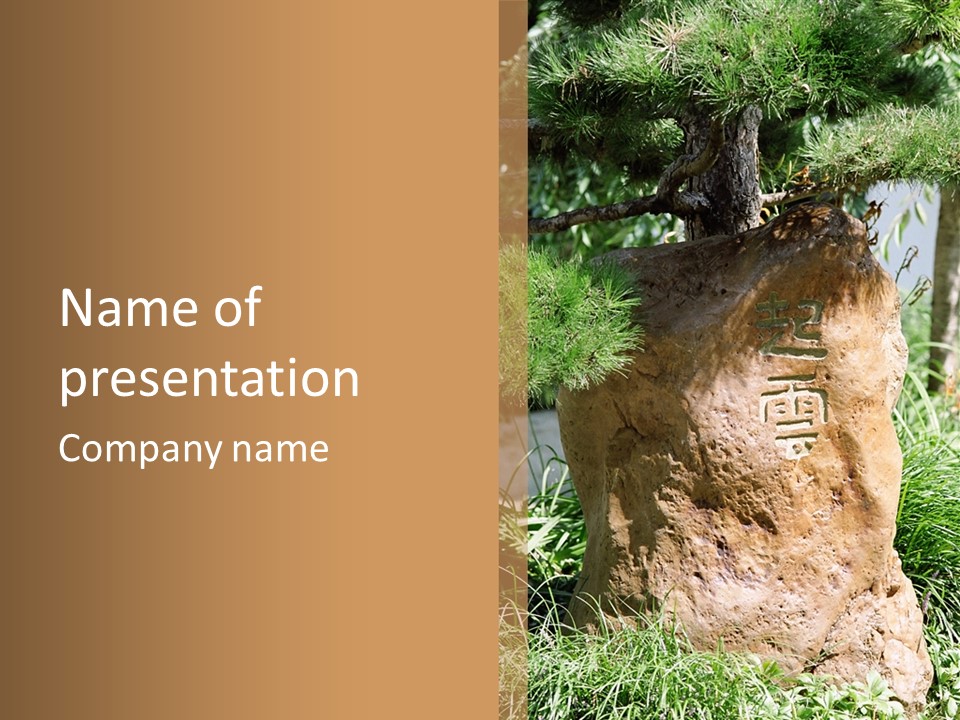 Stone Carved With Chinese Characters PowerPoint Template