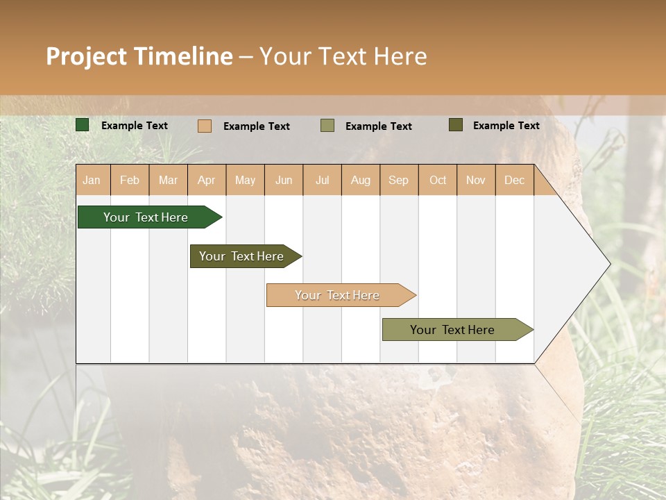 Stone Carved With Chinese Characters PowerPoint Template