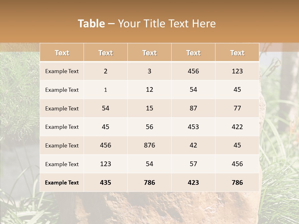 Stone Carved With Chinese Characters PowerPoint Template
