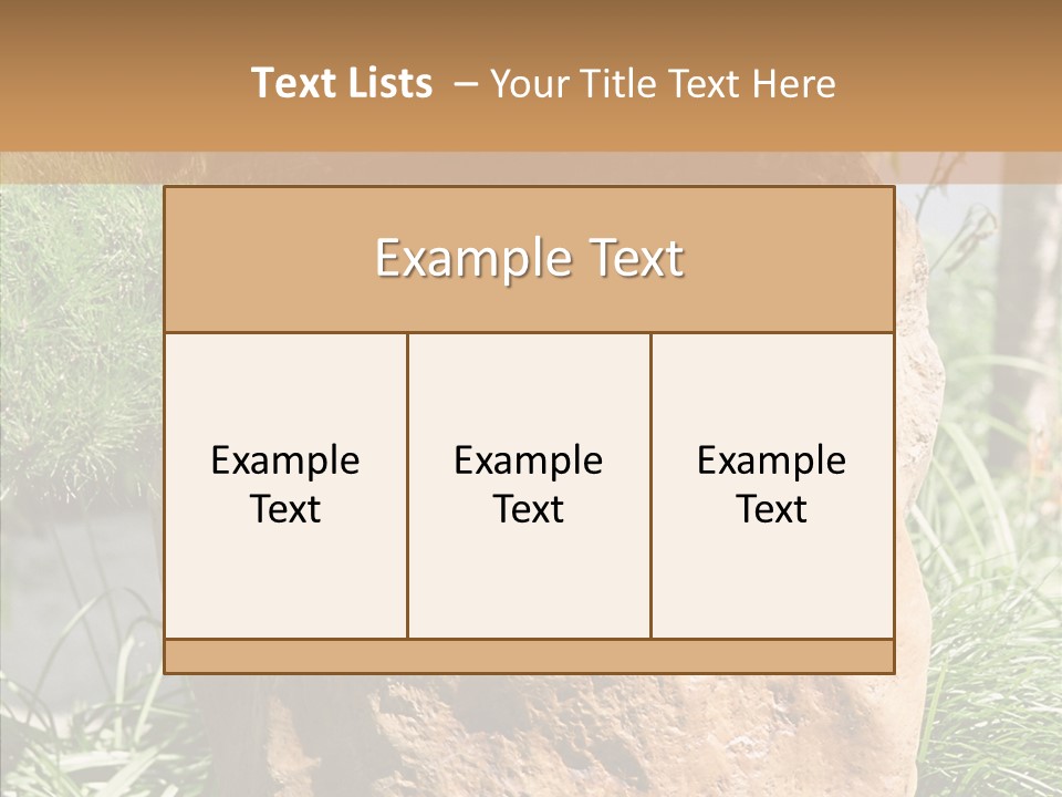 Stone Carved With Chinese Characters PowerPoint Template