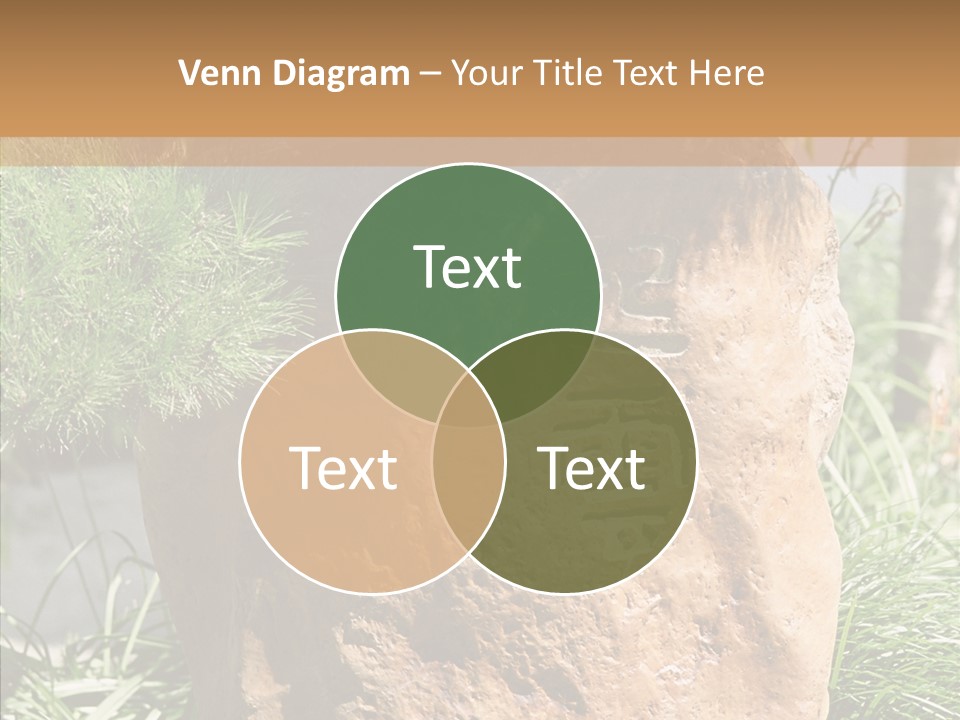 Stone Carved With Chinese Characters PowerPoint Template