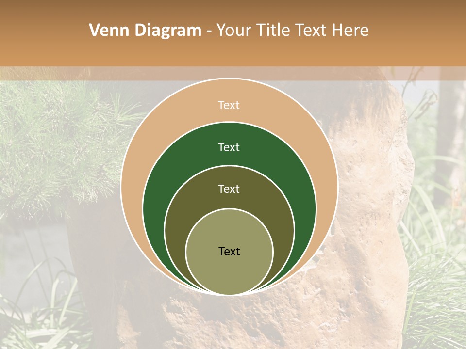 Stone Carved With Chinese Characters PowerPoint Template