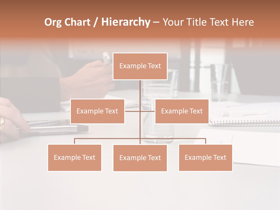 Businesswoman Giving Presentation PowerPoint Template