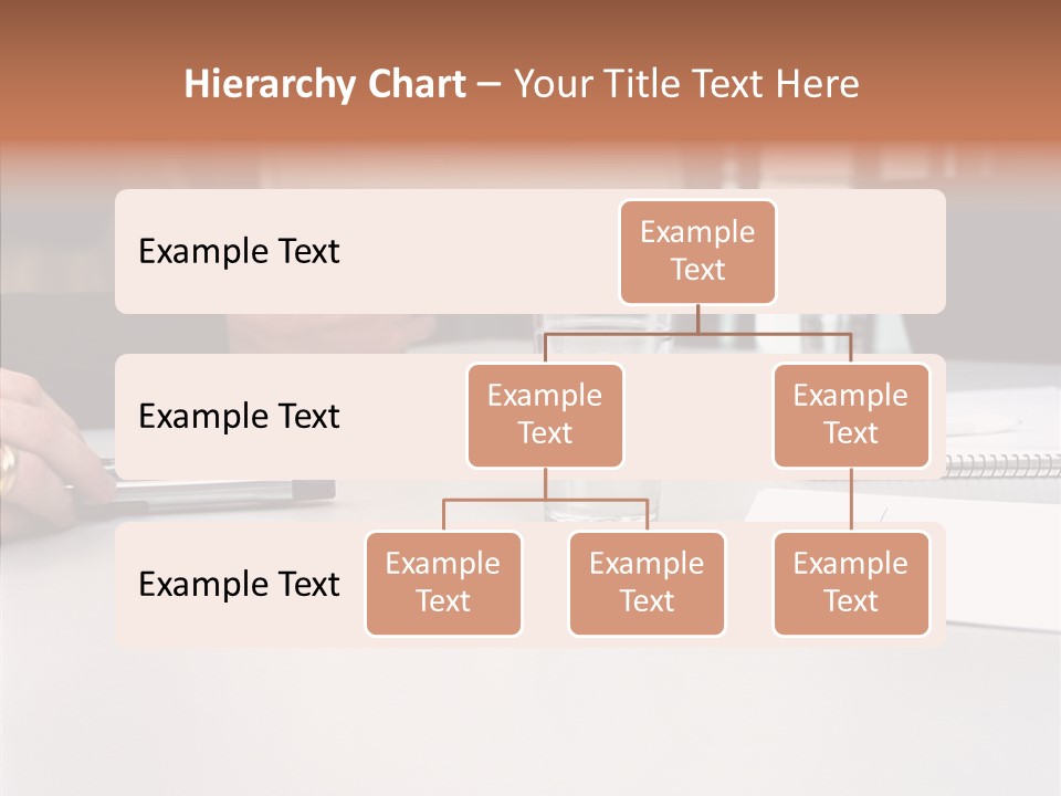 Businesswoman Giving Presentation PowerPoint Template