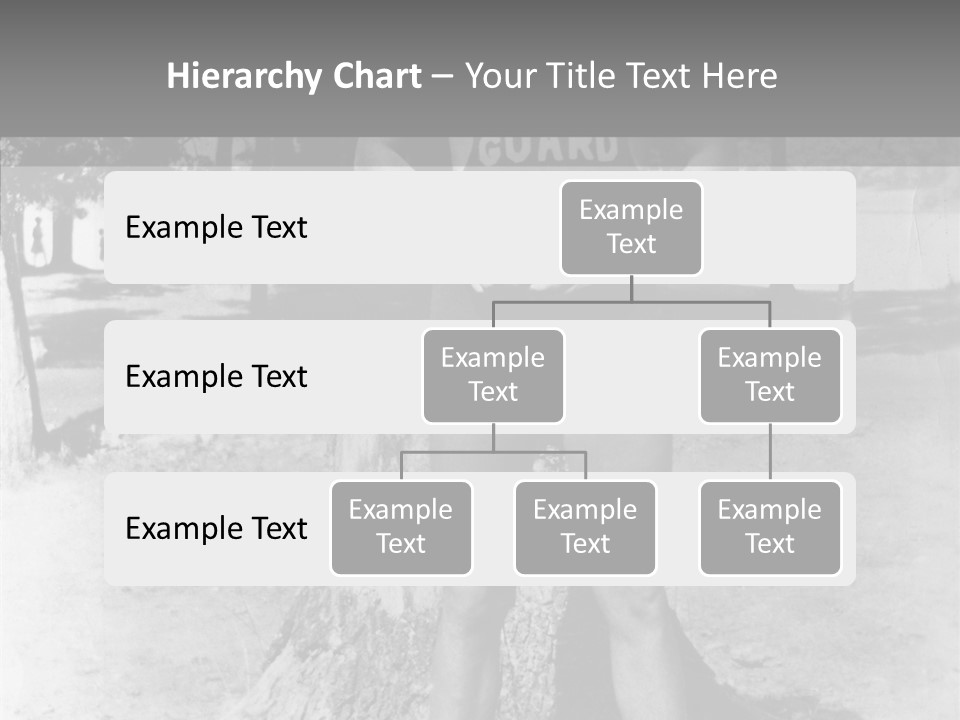 Sportsman 20 Th Century Poses For The Camera PowerPoint Template