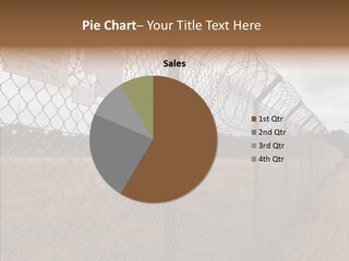 Sky Barb Wire Danger PowerPoint Template