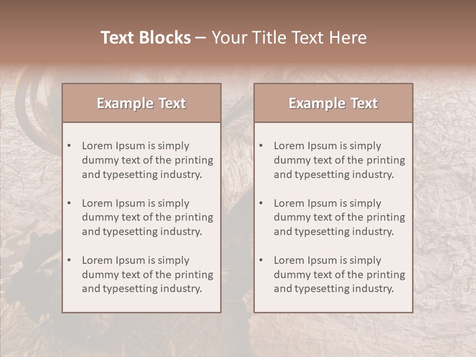 Vintage Globe Aged PowerPoint Template