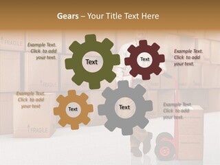 Male Cap  PowerPoint Template