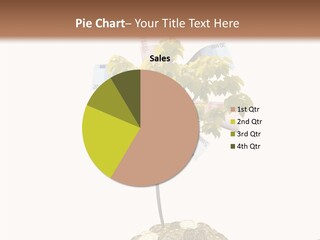 Shadows Stone Rocks PowerPoint Template