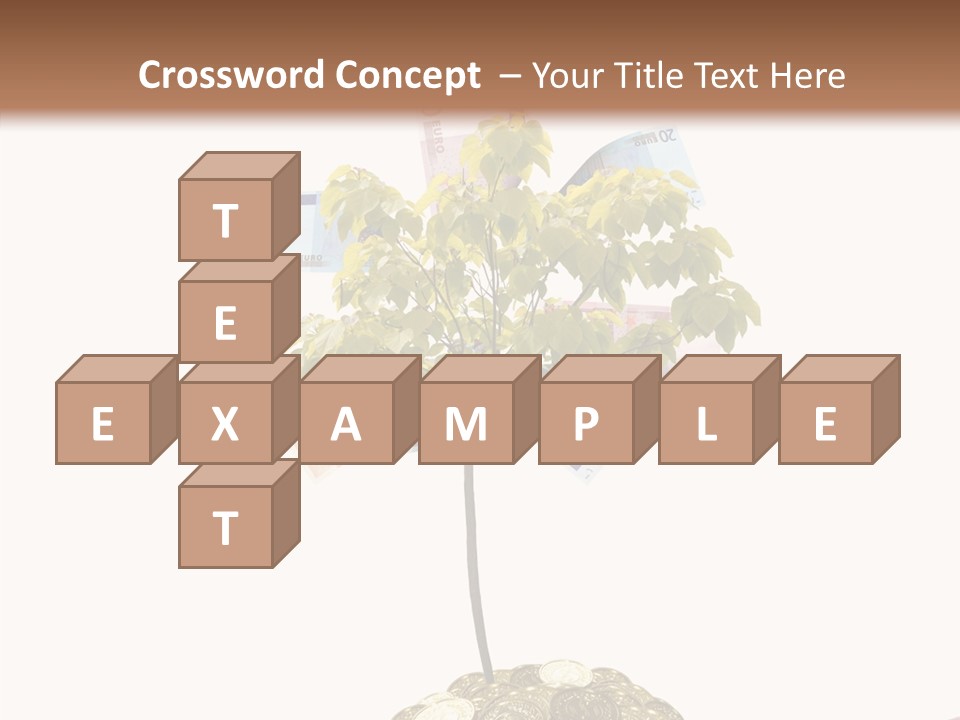 Shadows Stone Rocks PowerPoint Template