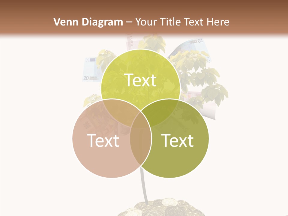 Shadows Stone Rocks PowerPoint Template