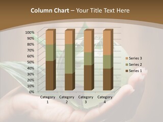 Organic Two Africa PowerPoint Template