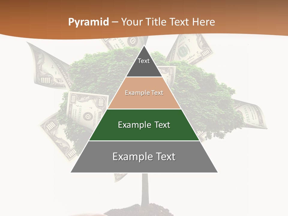 Spark Style Abstract PowerPoint Template